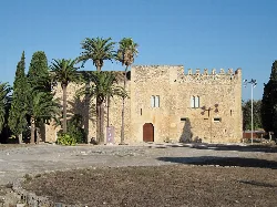 Historisches Museumsgebäude von Manacor mit Palmen im Vordergrund.