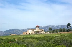 Herrenhaus Son Sureda auf einer grünen Wiese mit Bergen im Hintergrund.