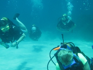 Starfish Diving Cala Millor